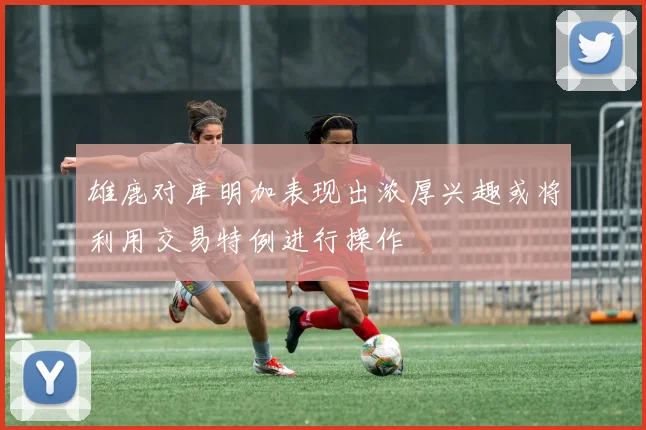雄鹿对库明加表现出浓厚兴趣或将利用交易特例进行操作