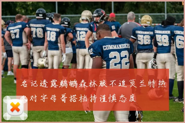 名记透露鹈鹕森林狼不追莫兰特热火对字母哥搭档持谨慎态度