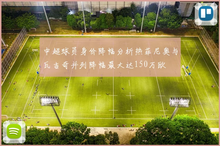 中超球员身价降幅分析热菲尼奥与瓦吉奇并列降幅最大达150万欧